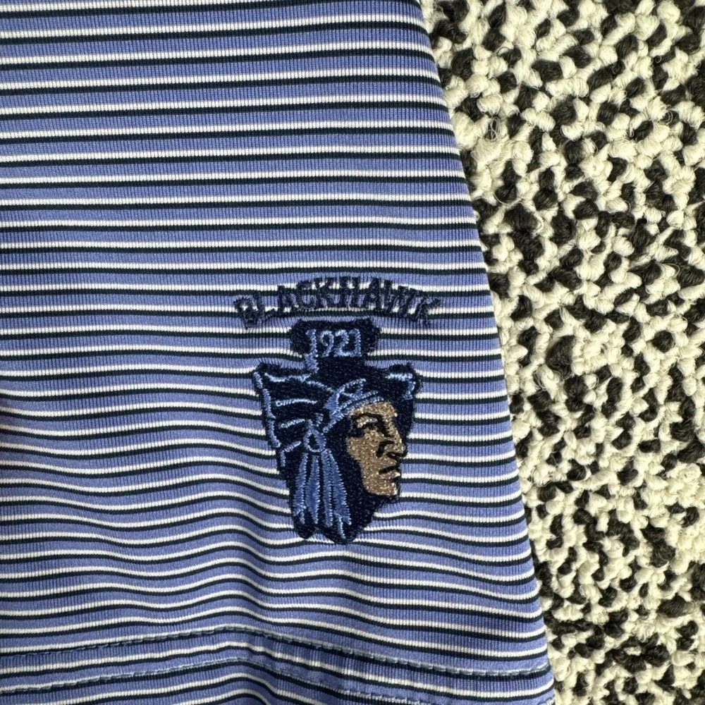 RLX‎ Ralph Lauren Polo Mens Large Blue Striped Moisture Wicking